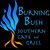 Demetrious Bush's profile image