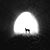 Ron Parker's profile image