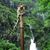 Dinesh Singh's profile image