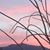 Susan Salk's profile image