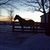 Bonita L Gerdes's profile image