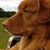 Wendy Carroll Gardenour's profile image