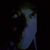 Ophra Leyser-Whalen's profile image