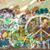 Susan Clifton Johnston's profile image