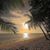 Patricia Rossi Holden's profile image