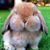 Krista Foxx's profile image