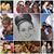 Hana Dan's profile image