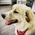 Chris Brame's profile image