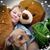 Mona Walker Michaud's profile image