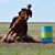 Terry Harshman's profile image