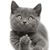 Brian Keary's profile image