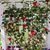 Linda Trettenbach's profile image