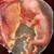 Shari Frasure's profile image