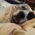 Tracy Mitchell's profile image