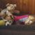Lori N Larry Gamelin's profile image