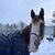 Amy Chace's profile image