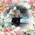 Donna Bullock's profile image