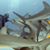 Michelle Loomis Elsesser's profile image