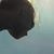 Ashley George McKerrow's profile image
