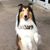 Toni Jasper Bailey's profile image
