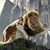 Kristin Strough's profile image