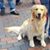 Linda Benner's profile image