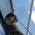 Diana Marrs's profile image