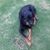 Bill Stephenson's profile image