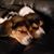 Lori Jacobson Long's profile image