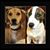 Bev Ray's profile image