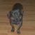 Ruth Gilchrist's profile image