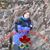 Sheena Moore's profile image