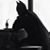 Sofia Minou's profile image
