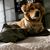 Cooper A Dias's profile image
