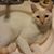 Karen M Hughes's profile image