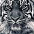 Nick A Rybolt's profile image