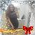 Laura Solis's profile image