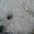 Sue Ayers's profile image