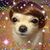 Meredith Maloney's profile image