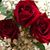 Jackie Steiger's profile image