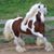 Zenneta Richardson's profile image