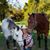 Cindy Shackelford Long's profile image