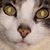 Lisa Geary's profile image