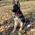 Sheryl Johnson Toland's profile image
