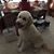 Trish Greskoff McAleer's profile image