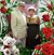 Marcia Fairchild's profile image