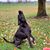 Sherry Johnsonb's profile image