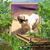 Lucille L Raiola's profile image