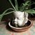 Patti Tyk's profile image