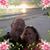 Kevin Carolyn Harper's profile image